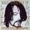 LP DAVE STEWART AND THE SPIRITUAL COWBOYS - Dave Stewart And The Spiritual Cowboys Gold 