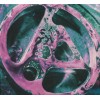 CD LINKIN PARK - From Zero (2CD) (Deluxe Edition) CD LINKIN PARK - From Zero (2CD) (Deluxe Edition)