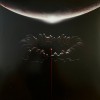 LP MUSE - The Wow! Signal Opaque Red LP MUSE - The Wow! Signal Opaque Red