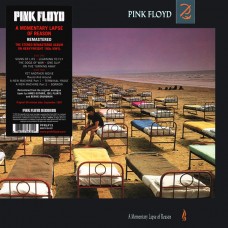 LP PINK FLOYD - A Momentary Lapse Of Reason LP PINK FLOYD - A Momentary Lapse Of Reason