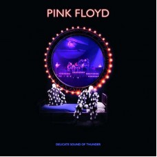 CD PINK FLOYD - Delicate Sound Of Thunder (2CD) Digipack CD PINK FLOYD - Delicate Sound Of Thunder (2CD) Digipack