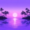 LP PURPLE DISCO MACHINE - Paradise (2LP) 