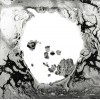 CD RADIOHEAD - A Moon Shaped Pool CD RADIOHEAD - A Moon Shaped Pool