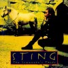 LP STING - Ten Summoner'S Tales LP STING - Ten Summoner'S Tales