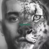 LP ZAYN - Konnakol LP ZAYN - Konnakol