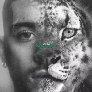 LP ZAYN - Konnakol LP ZAYN - Konnakol
